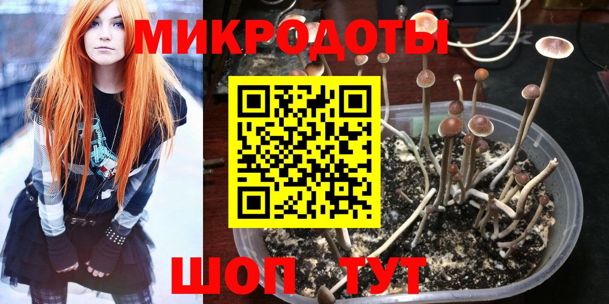 Галлюциногенные грибы ЛСД  Вход с VPN  Зеленогорск 