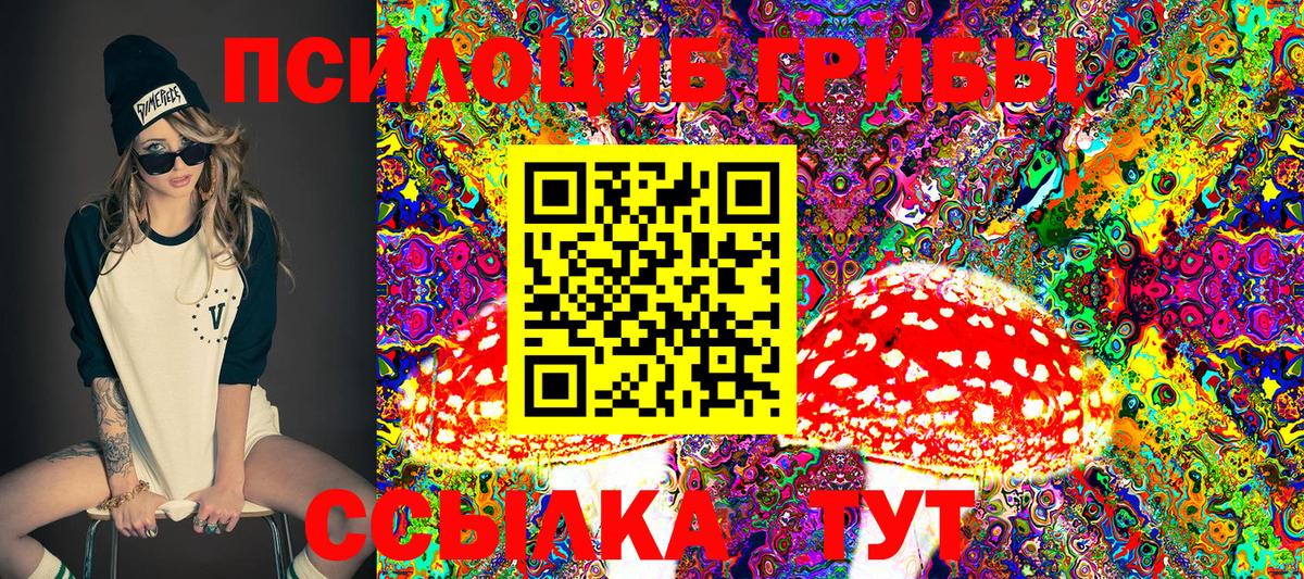 Псилоцибиновые грибы Psilocybine cubensis Зеленогорск